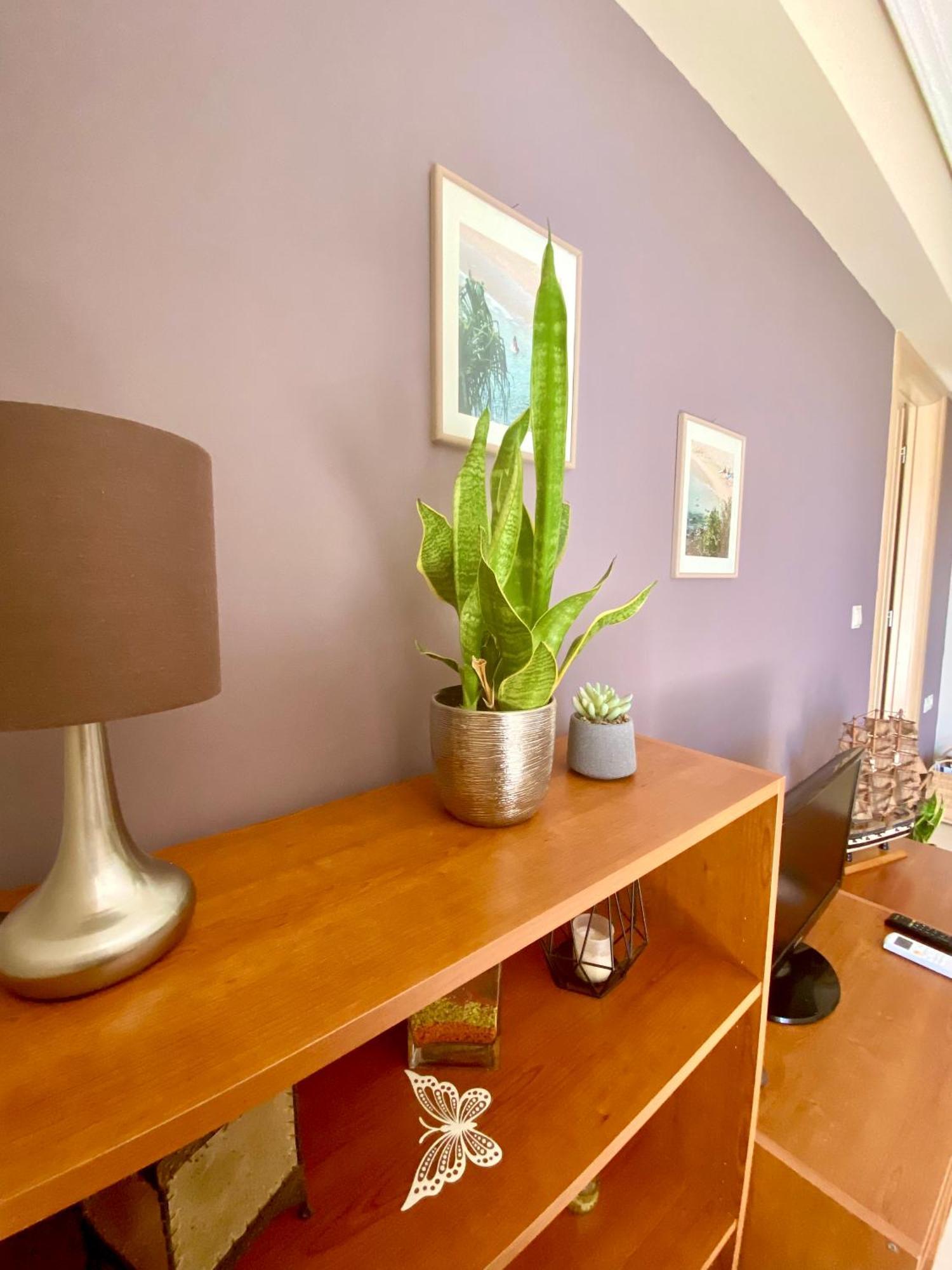 Apartament Xrysa'S Garden Mesolóngion Zewnętrze zdjęcie
